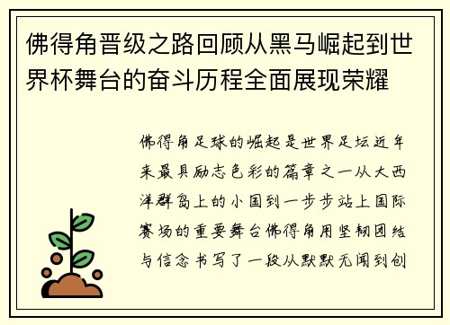 佛得角晋级之路回顾从黑马崛起到世界杯舞台的奋斗历程全面展现荣耀